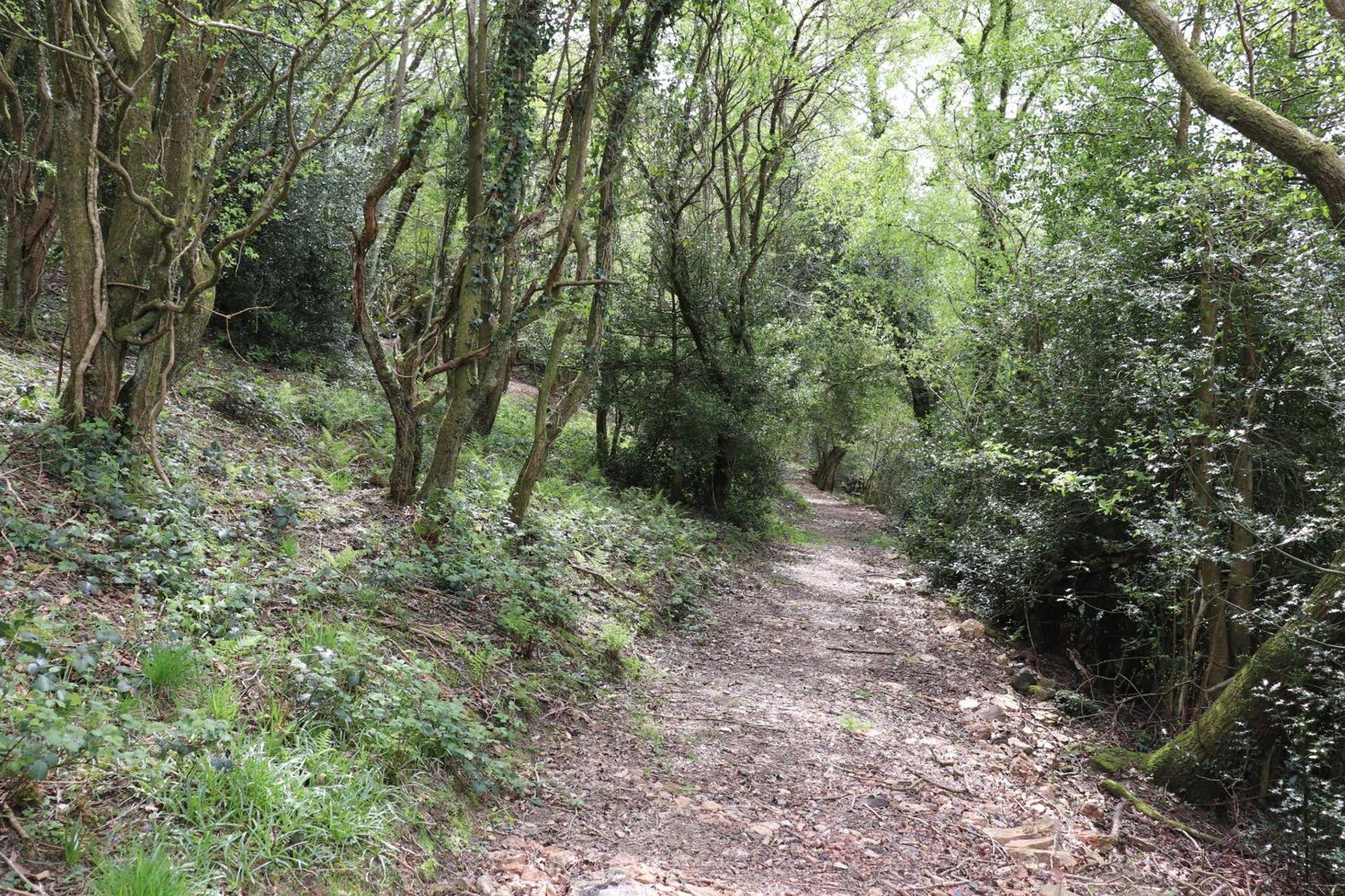 Tunnel Cottages At Blaen-Nant-Y-Groes Farm Aberdare Zewnętrze zdjęcie