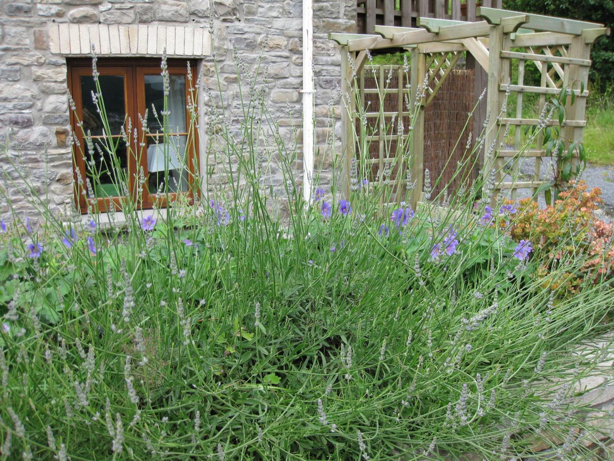 Tunnel Cottages At Blaen-Nant-Y-Groes Farm Aberdare Pokój zdjęcie